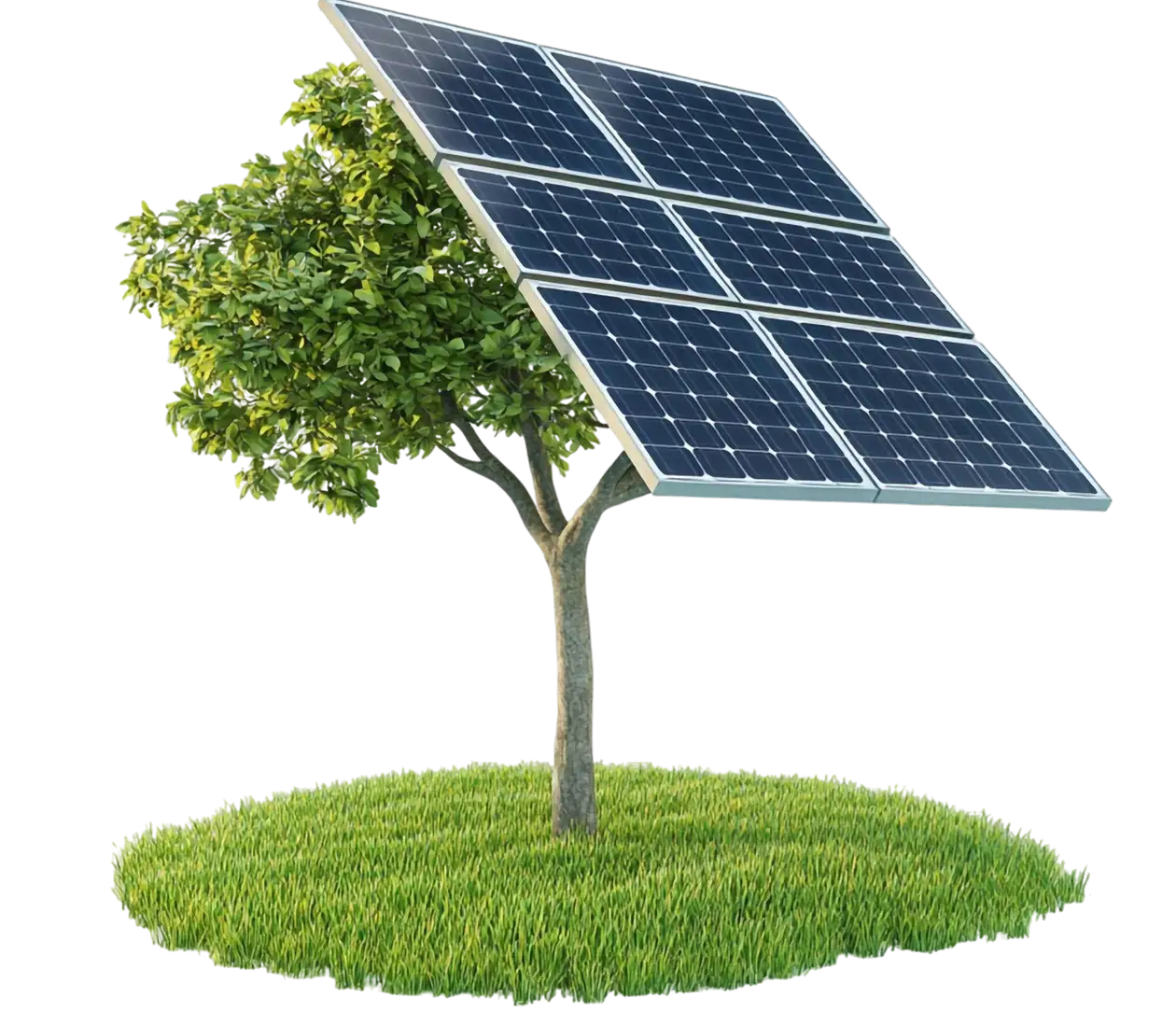 Tree-shaped solar array on a grassy patch